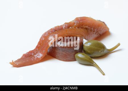 Acciuga europea (Engraulis encrasicolus), filetti di acciuga e mele da capperi Foto Stock