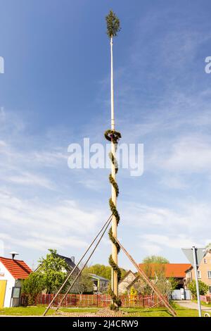 Maypole nel villaggio di Saalau, Wittichenau, Sassonia, Germania Foto Stock