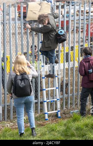 Navigator Terminal, Thurrock, Essex, Regno Unito Una seconda azione lo stesso giorno ha visto venti solo Stop Oil manifestanti tentare una massiccia tregua. Il tentativo è stato ostacinato presto con la sicurezza chiamare rapidamente la polizia e fermare i tentativi di salire sulle recinzioni. Due manifestanti si sono incollati al muro del mare e tutti sono stati arrestati Foto Stock