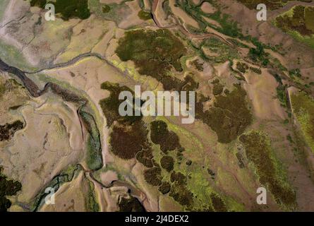 Riserva della biosfera dell'estuario di Urdaibai, estuario del fiume Oka, regione di Gernika-Lumo, provincia di Biscay, Paesi Baschi, Spagna Foto Stock