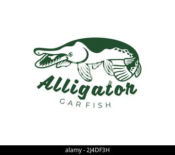 Pesci alligatore (atractosteus spatola), pesca, logo design. Animali, vita subacquea, fauna selvatica, disegno vettoriale e illustrazione Foto Stock