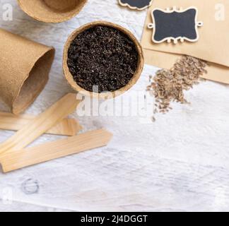 Semi di aneto, pentole biodegradabili e vista dall'alto degli attrezzi da giardino. Pianta di casa, giardinaggio interno e germinazione semi di erbe, su tavola di legno bianco, copia sp Foto Stock