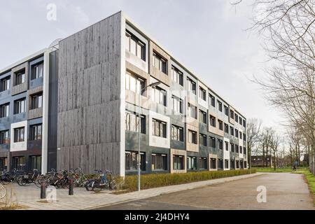 Moderno edificio di appartamenti per studenti a Wageningen, Gelderland, Paesi Bassi Foto Stock