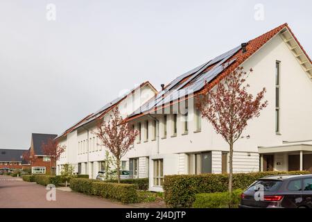 Fila di moderne case a conduzione familiare di nuova costruzione lungo il canale di Kortenoord a Wageningen, Gelderland nei Paesi Bassi Foto Stock