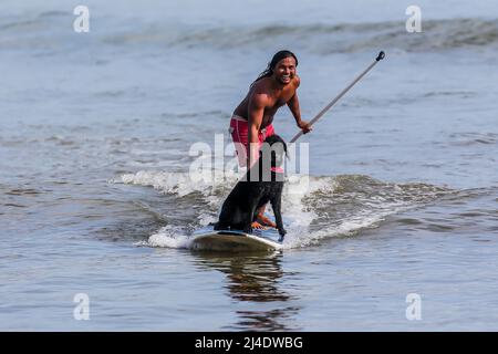 Provincia di Aurora, Filippine. 14th Apr 2022. Il surfista Mario Cardama Jr. E il cane Gordy surf in una spiaggia nella provincia di Aurora, nelle Filippine, 14 aprile 2022. Fondato nel 2016, il Dog Collective è costituito da appassionati di surf che sono anche amanti del cane. Trascorrono il loro tempo libero insegnando ai loro animali domestici adottisi a fare un giro in tavola da surf nel comune di Baler nella provincia di Aurora, che è localmente conosciuta come 'il luogo di nascita del surf delle Filippine.' Credit: Rouelle Umali/Xinhua/Alamy Live News Foto Stock