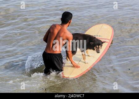 Provincia di Aurora, Filippine. 14th Apr 2022. Un surfer ed il suo cane dal collettivo del cane hanno stabilito per prendere un'onda ad una spiaggia nella provincia di Aurora, le Filippine, 14 aprile 2022. Fondato nel 2016, il Dog Collective è costituito da appassionati di surf che sono anche amanti del cane. Trascorrono il loro tempo libero insegnando ai loro animali domestici adottisi a fare un giro in tavola da surf nel comune di Baler nella provincia di Aurora, che è localmente conosciuta come 'il luogo di nascita del surf delle Filippine.' Credit: Rouelle Umali/Xinhua/Alamy Live News Foto Stock