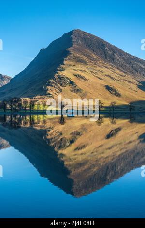 Fleetwith Pike riflesso in Buttermere Cumbria Foto Stock