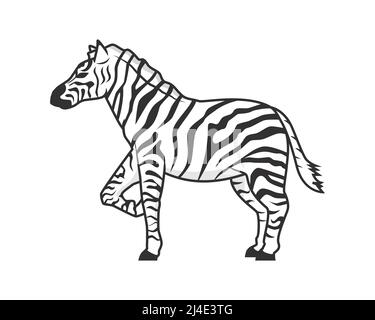 Vettore di illustrazione dettagliata del cavallo Zebra in piedi Illustrazione Vettoriale