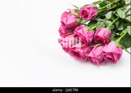 Sfondo astratto con fiori rosa rose su sfondo bianco Foto Stock