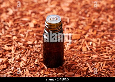 Una bottiglia contagocce di olio essenziale di aromaterapia con trucioli di legno di sandalo rosso, con spazio copia Foto Stock