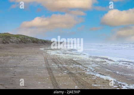 Paesaggio della costa del Mare del Nord con schiuma di alghe microscopiche morte chiamato fitoplancton in questo caso enormi quantità di schiuma alghe che, quando whipp Foto Stock