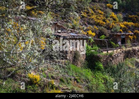 Europa, Portogallo, Distretto di Coimbra, vicino a Góis, 'il Goatshed' (vicino a Colmeal) un edificio agricolo trasformato in una casa off-Grid Foto Stock