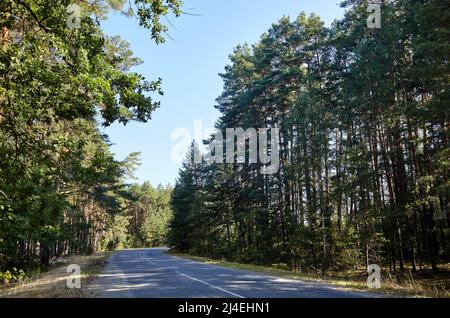 Asfalto tortuoso strada di campagna vicino alla foresta. Una strada curva nell'Europa rurale Foto Stock