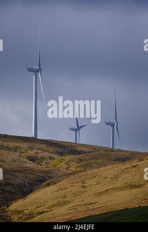 Green Knowes Windfarm Wind Power Foto Stock