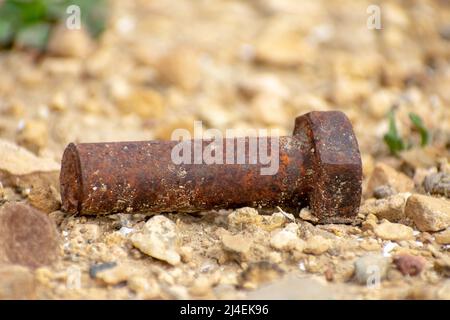 Primo piano di una vecchia vite arrugginita Foto Stock