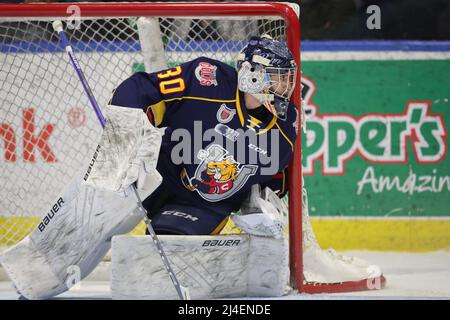 Aprile 2nd 2022, Barrie Colts Beat the London Knights 5-4 in straordinari. Matteo Lalama(30) dei Colti Barrie. (Solo editoriale) Luca Durda/Alamy Foto Stock