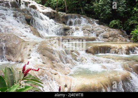 Cascate del fiume Dunns, Ocho Rios, St Ann Parish, Giamaica, Antille grandi, Caraibi Foto Stock