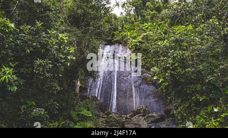 La Coca cade A EL Yunque Puerto Rico Foto Stock