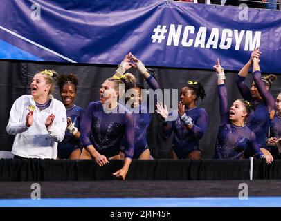 Fort Worth, Texas, Stati Uniti. 14th Apr 2022. La squadra di ginnastica femminile del Michigan si insurra in un compagno di squadra durante la Semifinale II del NCAA National Collegiate Women's Ginnastica Championships 2022 alla Dickies Arena di Fort Worth, Texas. Kyle Okita/CSM/Alamy Live News Foto Stock