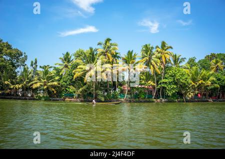 Vista panoramica con alberi di cocco e casa di pescatori, backwaters paesaggio di Alleppey, Kerala, India Foto Stock