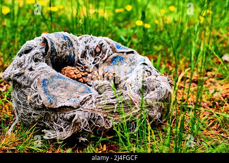 Abbandonata vecchia palla sportiva strappata con coni all'interno tra erba verde Foto Stock