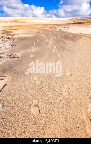 Impronte nelle dune di sabbia al Wungul Sandblow, Fraser Island, Queensland, Australia Foto Stock