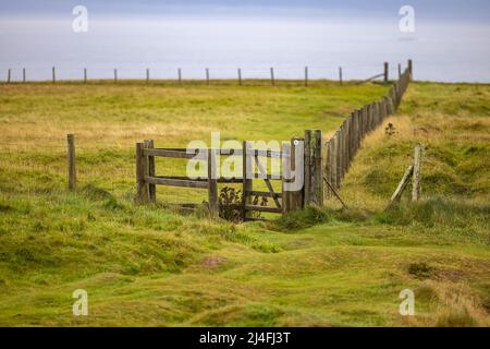 Recinzione in un campo sulla costa scozzese Foto Stock