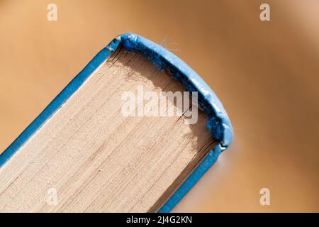 Libro vintage chiuso, foto macro dorso con messa a fuoco selettiva Foto Stock