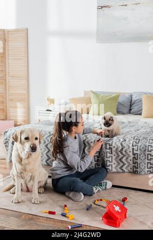 ragazza seduta sul pavimento e giocare con giocattolo set medico, gatto e cane labrador Foto Stock