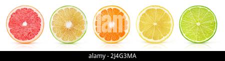 Fette di agrumi (pompelmo, arancia, limone, lime) in fila isolate su sfondo bianco Foto Stock