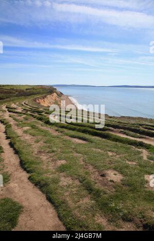 Effetti dell'erosione costiera a Barton sul mare, Hampshire Regno Unito Aprile 2022 Foto Stock