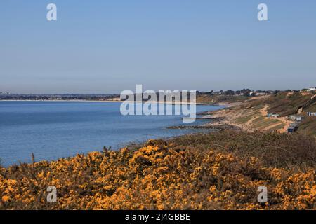 Effetti dell'erosione costiera a Barton sul mare, Hampshire Regno Unito Aprile 2022 Foto Stock