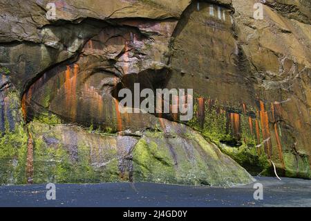 Acqua che si tuffa lungo un muschio e lichen coperto scogliera con strisce marroni, che si innalzano da una spiaggia di sabbia nera. Whitecliffs, Taranaki regione, Nuova Zelanda Foto Stock