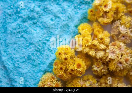 Composizione bandiera Ucraina con fiori gialli e sabbia blu. Stare con l'Ucraina Foto Stock