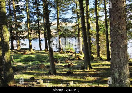 Loch Doon - Scozia Foto Stock