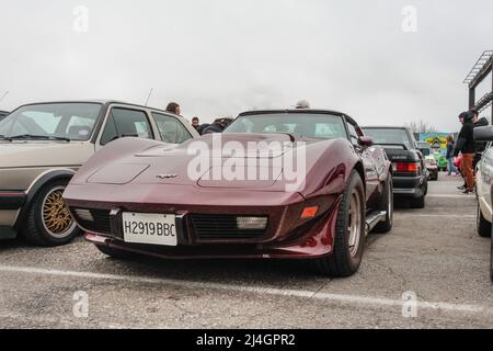 1981 Corvette Stingray C3, American Muscle Car Foto Stock