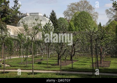 IL MUSEO E I GIARDINI ALBERT-KHAN RIAPRONO A BOULOGNE Foto Stock