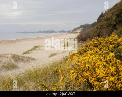 Vista lungo la spiaggia da Highcliffe Beach a Mudeford Quay, Dorset, Regno Unito Foto Stock