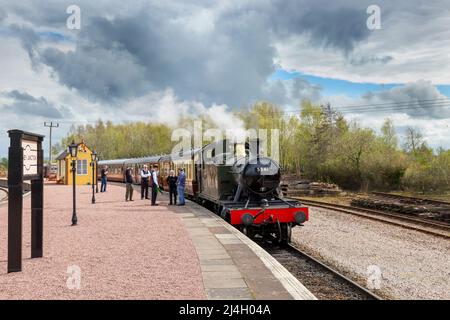 Dean Forest Railway, Forest of Dean, Gloucestershire. Foto Stock