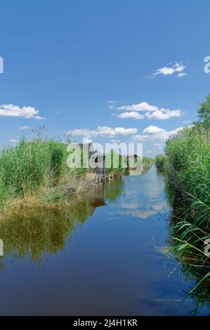 Capanne di pescatori in cintura di canna, Lago Neusiedler See, Burgenland, Austria Foto Stock