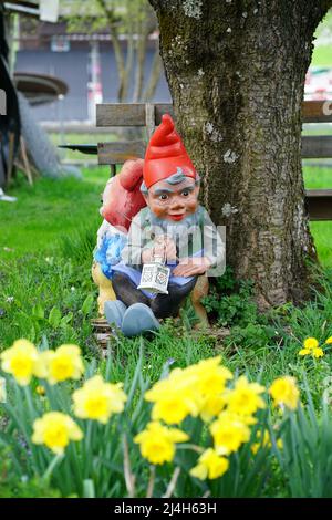 Due gnomi nel giardino in primavera, Svizzera Foto Stock