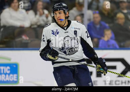 Jacksonville Icemen inoltra Ara Nazarian (22) durante una partita di hockey contro i conigli della Greenville Swamp alla Veterans Memorial Arena di Jacksonville, Florida, mercoledì 13 aprile 2022. [Gary Lloyd McCullough/Cal Sport Media] Foto Stock