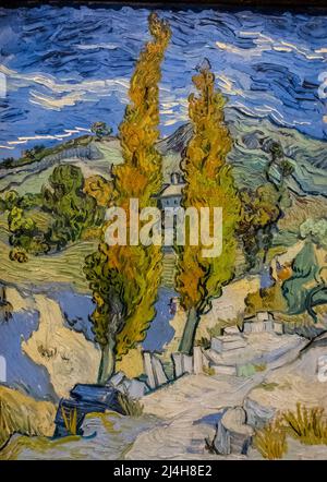 Van Gough dipinge due Poplar nelle Alpilles vicino a Saint-Remy al Cleveland Museum of Art Foto Stock