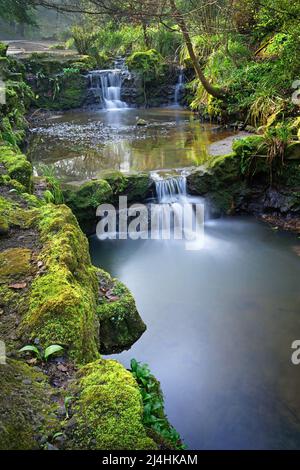 Regno Unito, North Yorkshire, Scarborough, Peasholm Park Waterfall Foto Stock