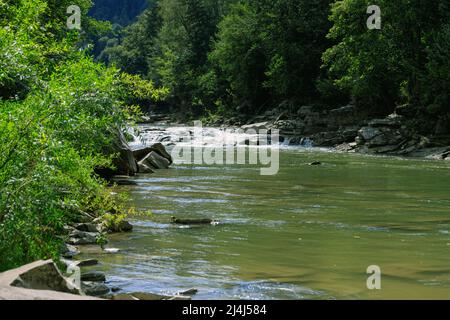 Fiume di montagna con rapide, grandi pietre, vegetazione lussureggiante lungo le rive, in una giornata di sole Foto Stock