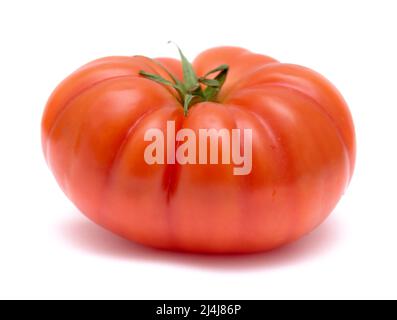 Grande pomodoro coltivato in terra dalle isole Canarie isolato su bianco Foto Stock