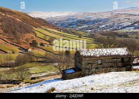 Fienile in pietra vicino Angram a Swaledale, Yorkshire Dales National Park. Campi innevati alla fine di febbraio. Foto Stock