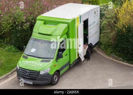 Un curioso gatto nero che guarda in un furgone Waitrose & Partners consegna - portare il nostro negozio a vostra porta nel sud-ovest di Londra, Inghilterra, Regno Unito Foto Stock