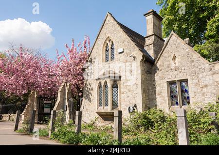 Una loggia coperta di ciliegia al Putney Lower Common Cemetery, Lower Common, Lower Richmond Road, Londra, SW15, Inghilterra, Regno Unito Foto Stock