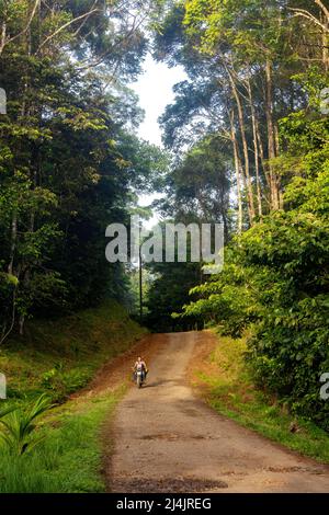 Moto su strada sterrata in Costa Rica vicino a Boca Tapada, Costa Rica Foto Stock